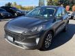 Used 2020 Ford Escape Titanium SUV