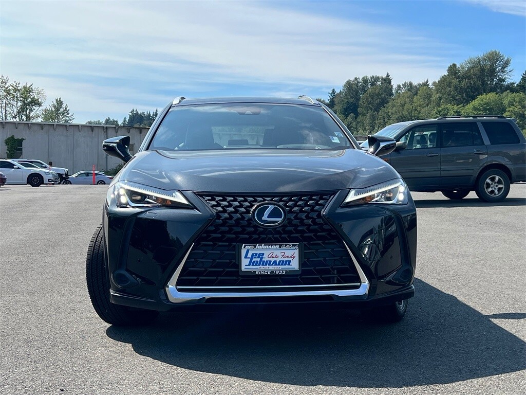 2021 Lexus UX 250h photo 2