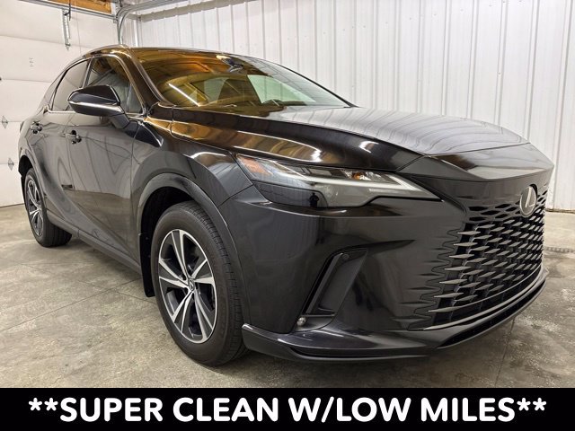 2024 Lexus RX