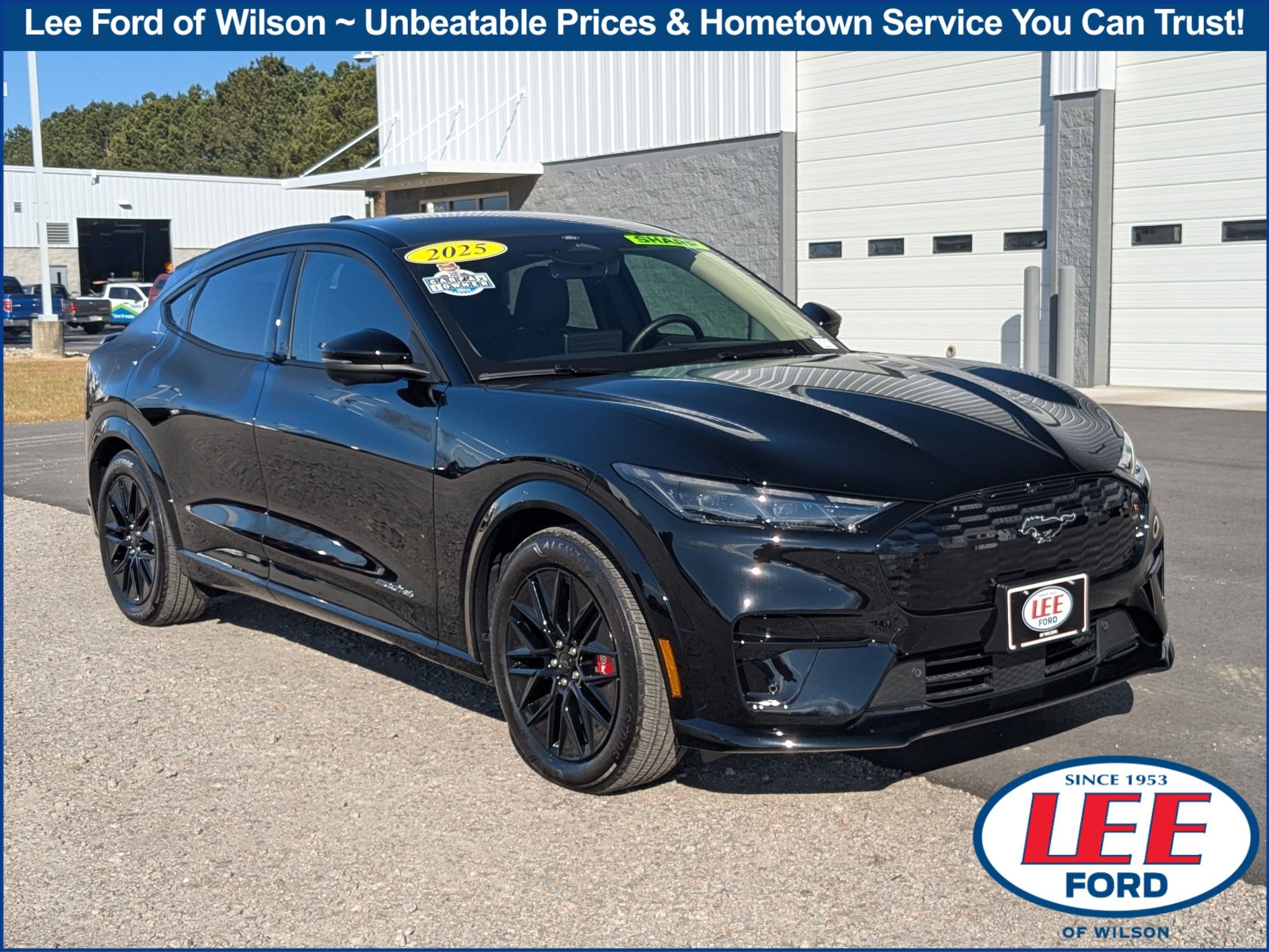 2025 Ford Mustang Mach-E Premium AWD's photo