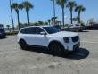 Used 2024 Kia Telluride SX X-Line SUV