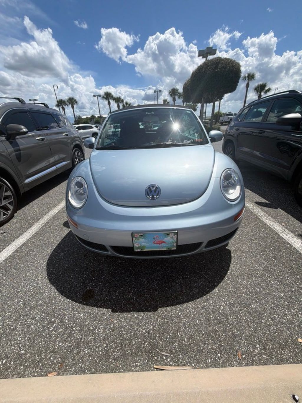 Used 2010 Volkswagen Beetle 2.5L Convertible