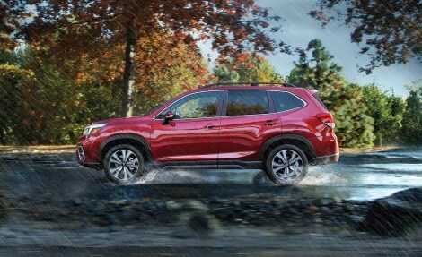 2019 Subaru Forester for Sale 2019 Subaru Forester for Sale