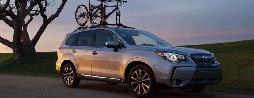 subaru forester roof bike rack