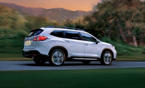 2019 Subaru Ascent for Sale