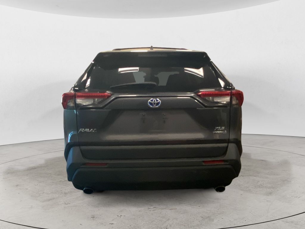 2024 Toyota RAV4 Hybrid XLE Premium photo 4