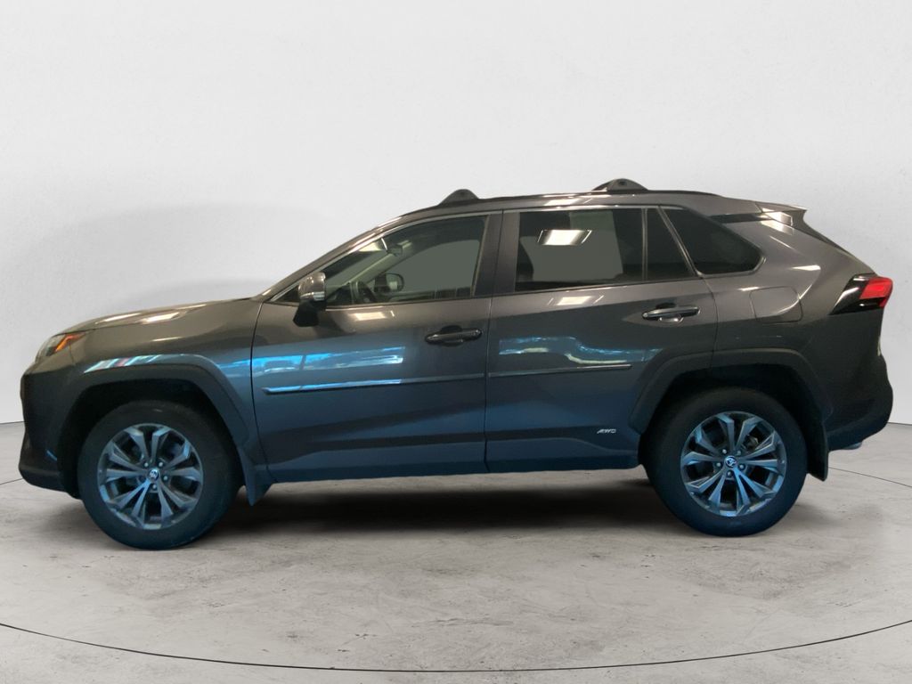 2024 Toyota RAV4 Hybrid XLE Premium photo 2