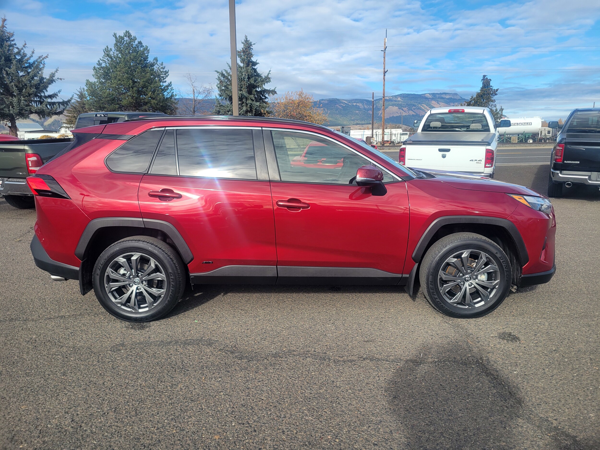 2024 Toyota RAV4 Hybrid XLE Premium photo 2