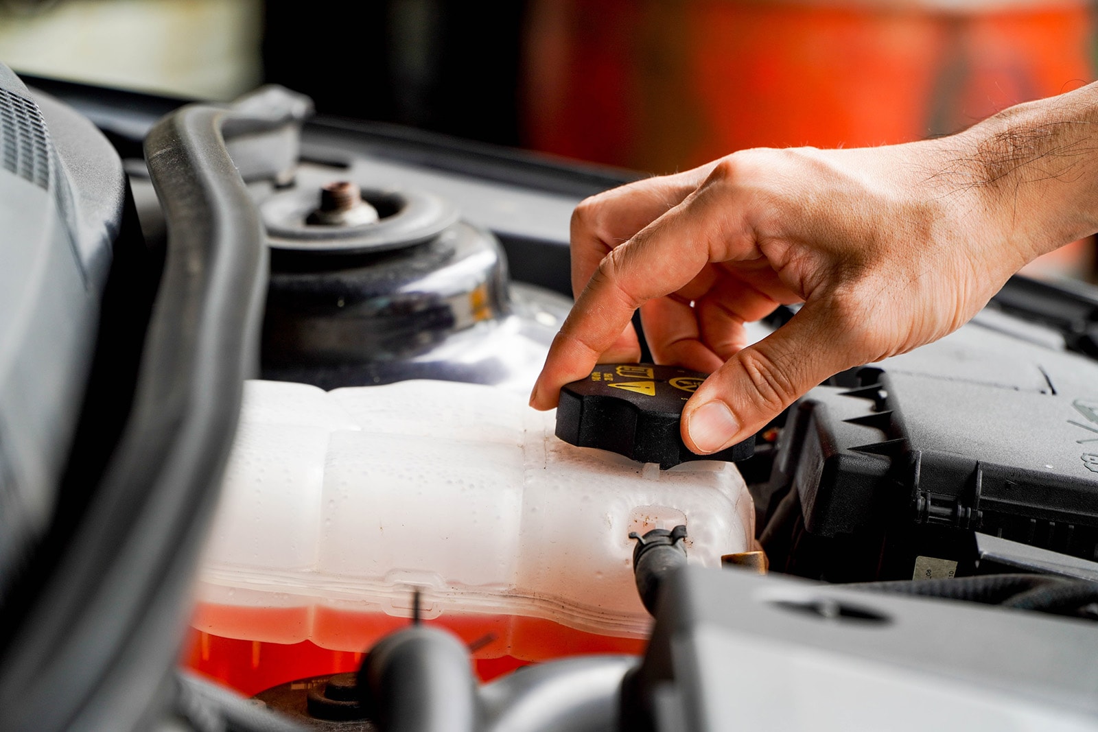Coolant_and_Brake_Fluid.jpg