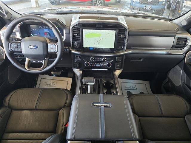 2025 Ford F-150 Platinum photo 3