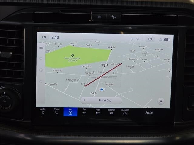 2025 Ford F-150 Platinum photo 4