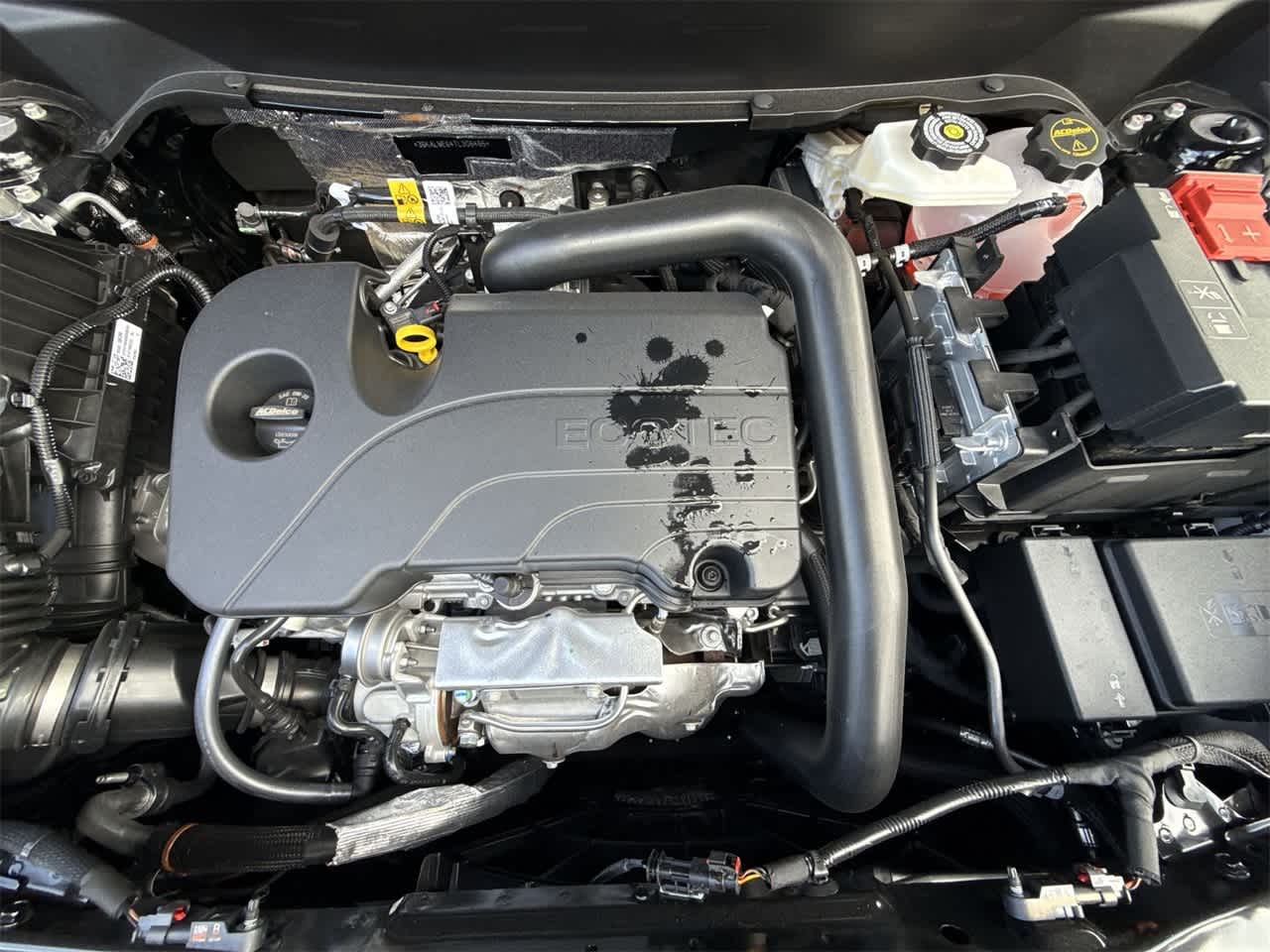 Thumbnail: 2026 GMC Terrain - 12