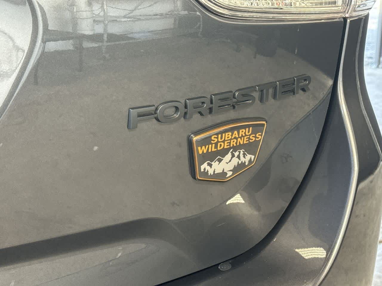 Thumbnail: 2025 Subaru Forester - 10