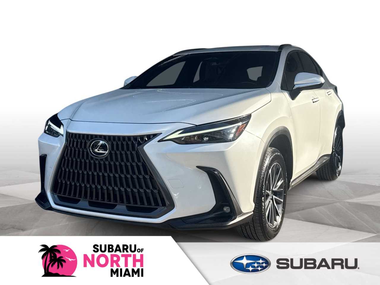 2024 Lexus NX 250's photo
