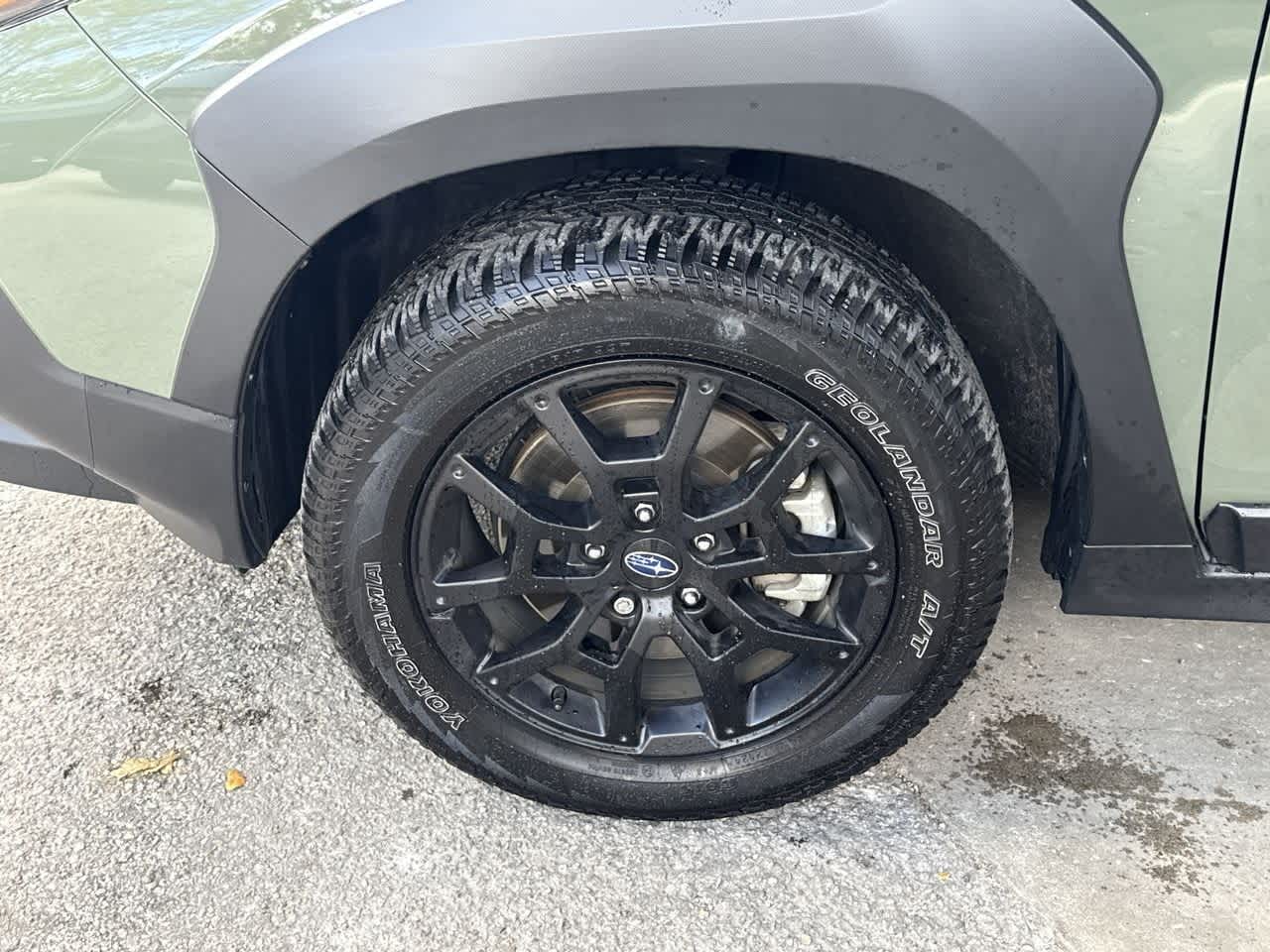 Thumbnail: 2025 Subaru Crosstrek - 11