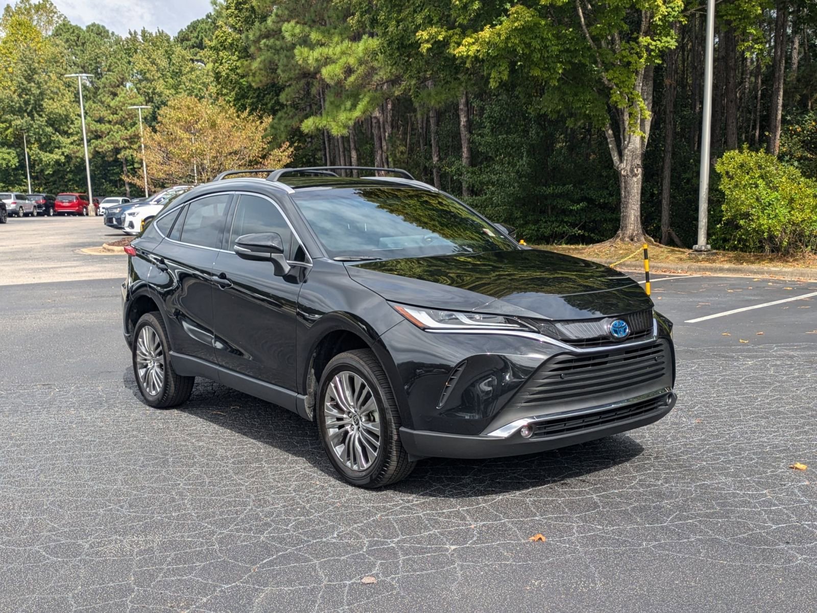 2024 Toyota Venza XLE photo 3