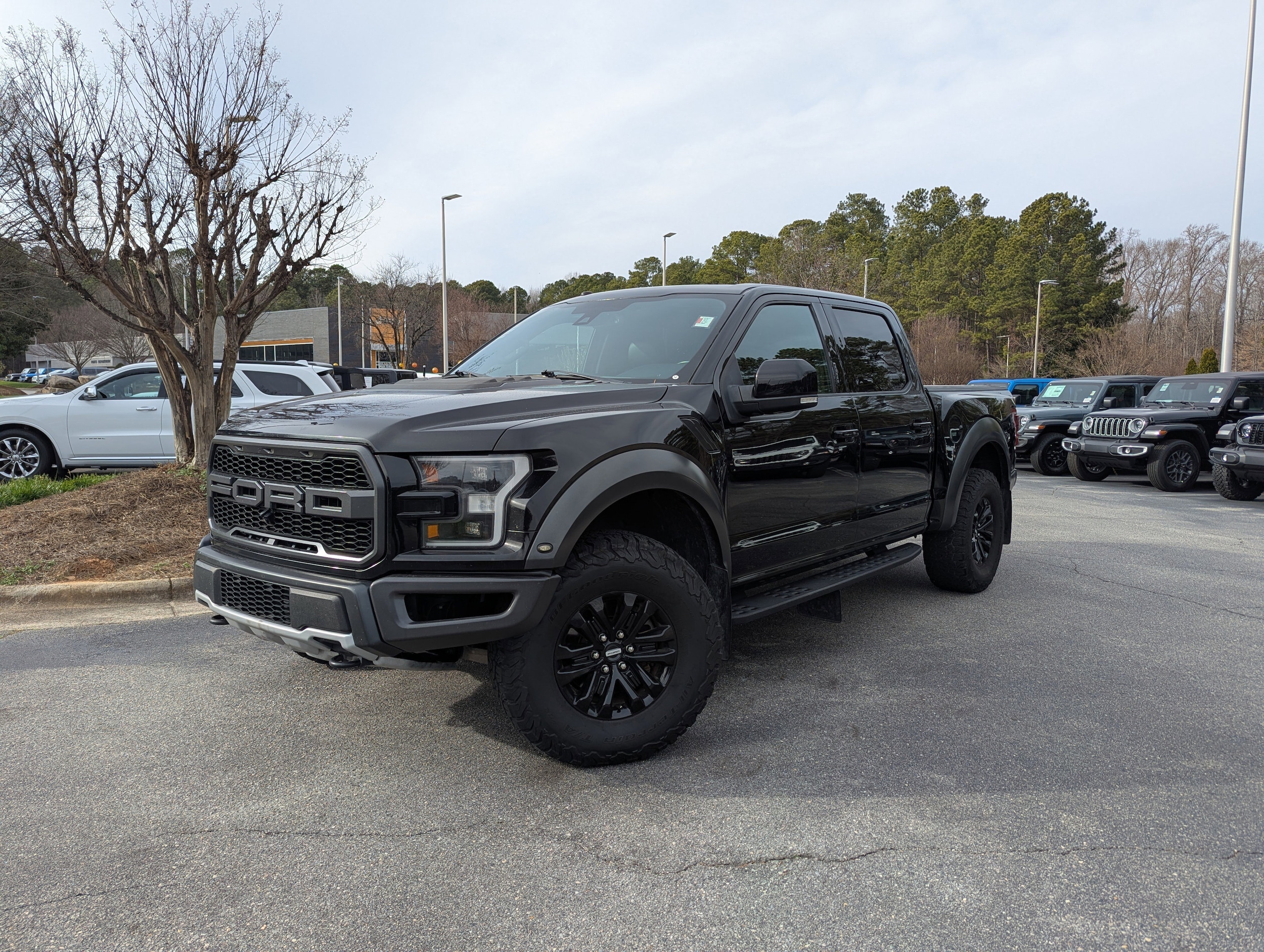2018 Ford F-150 Raptor's photo