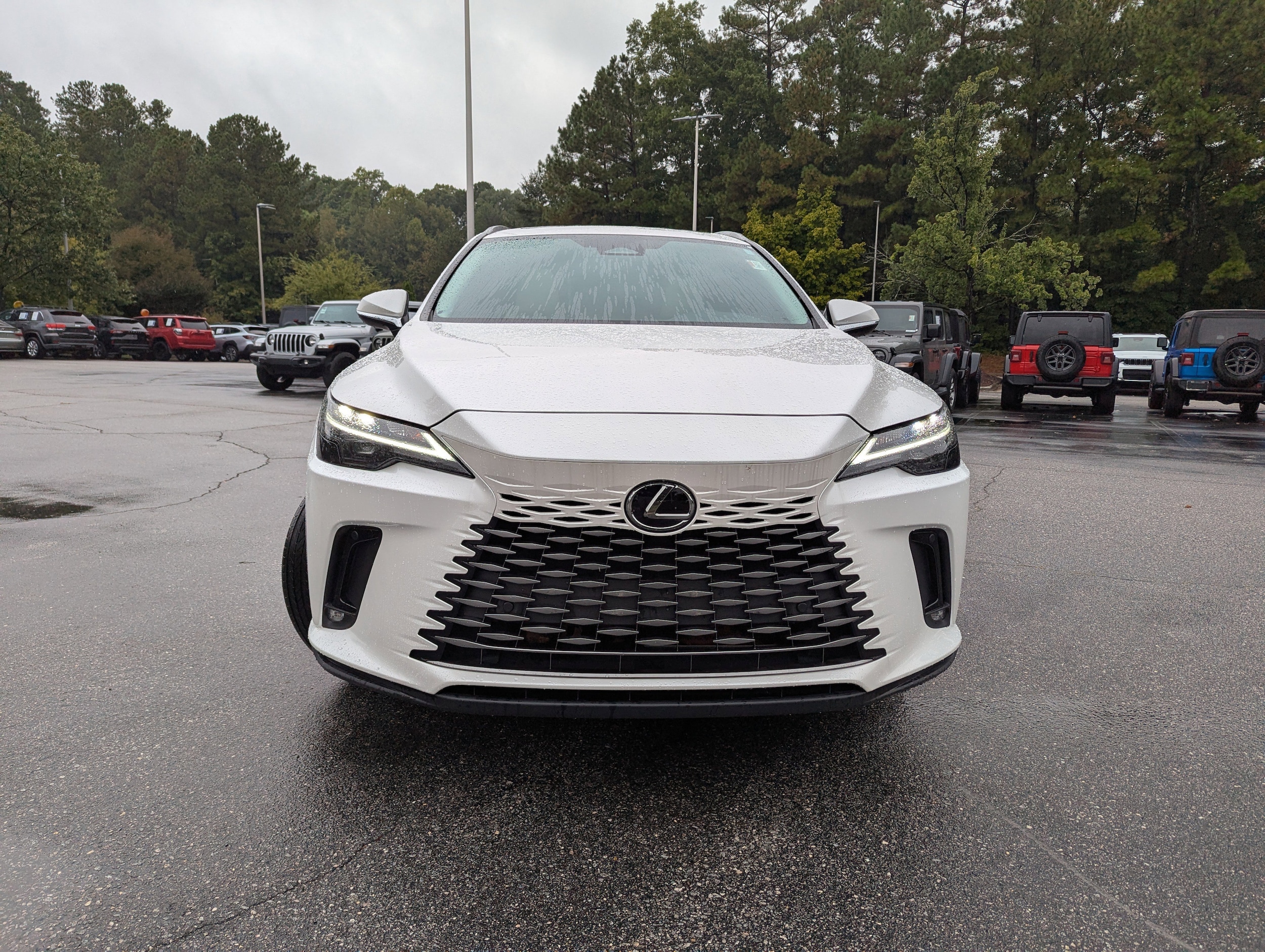 2024 Lexus RX 350 photo 2