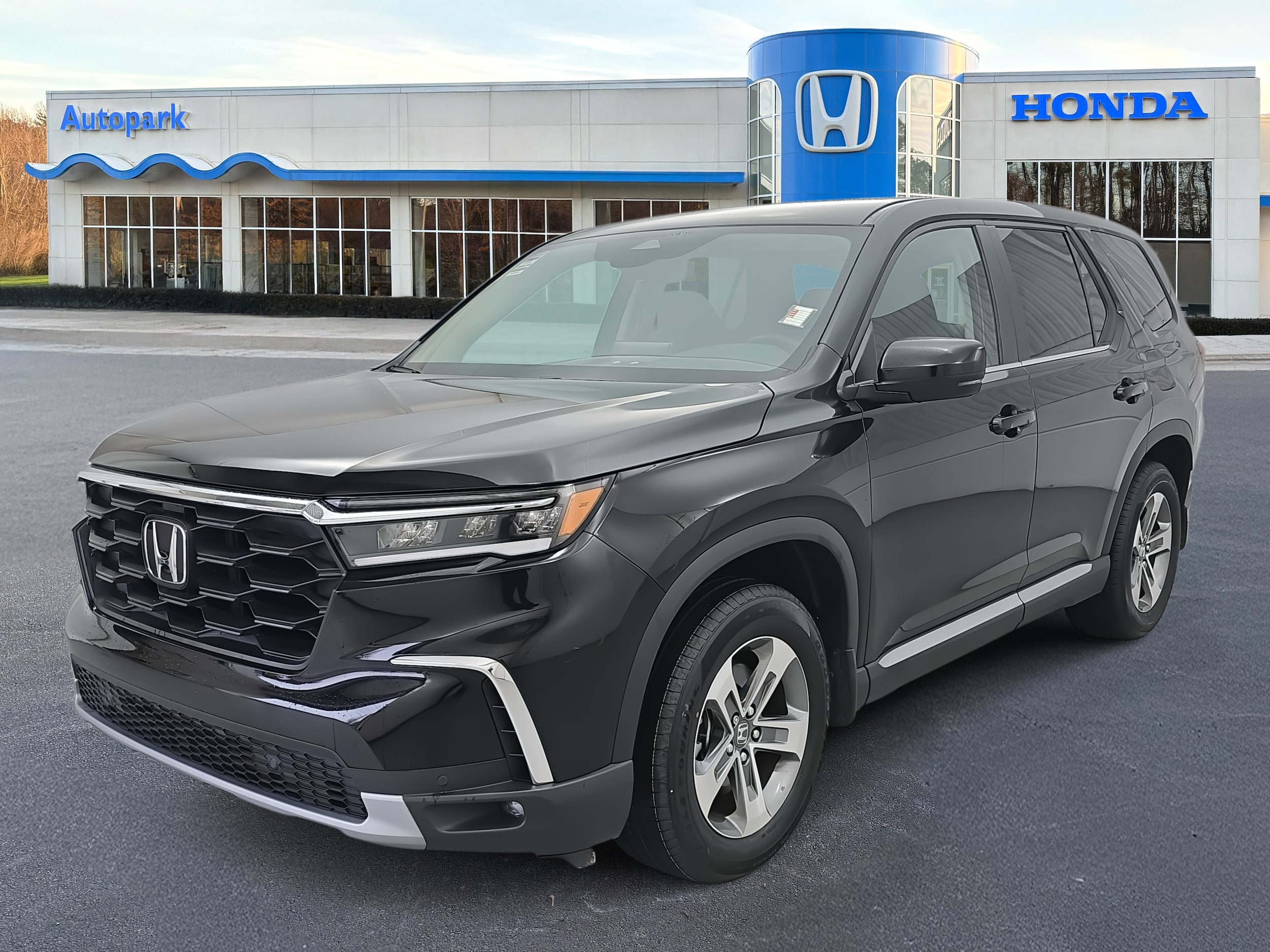 2024 Honda Pilot EX-L's photo