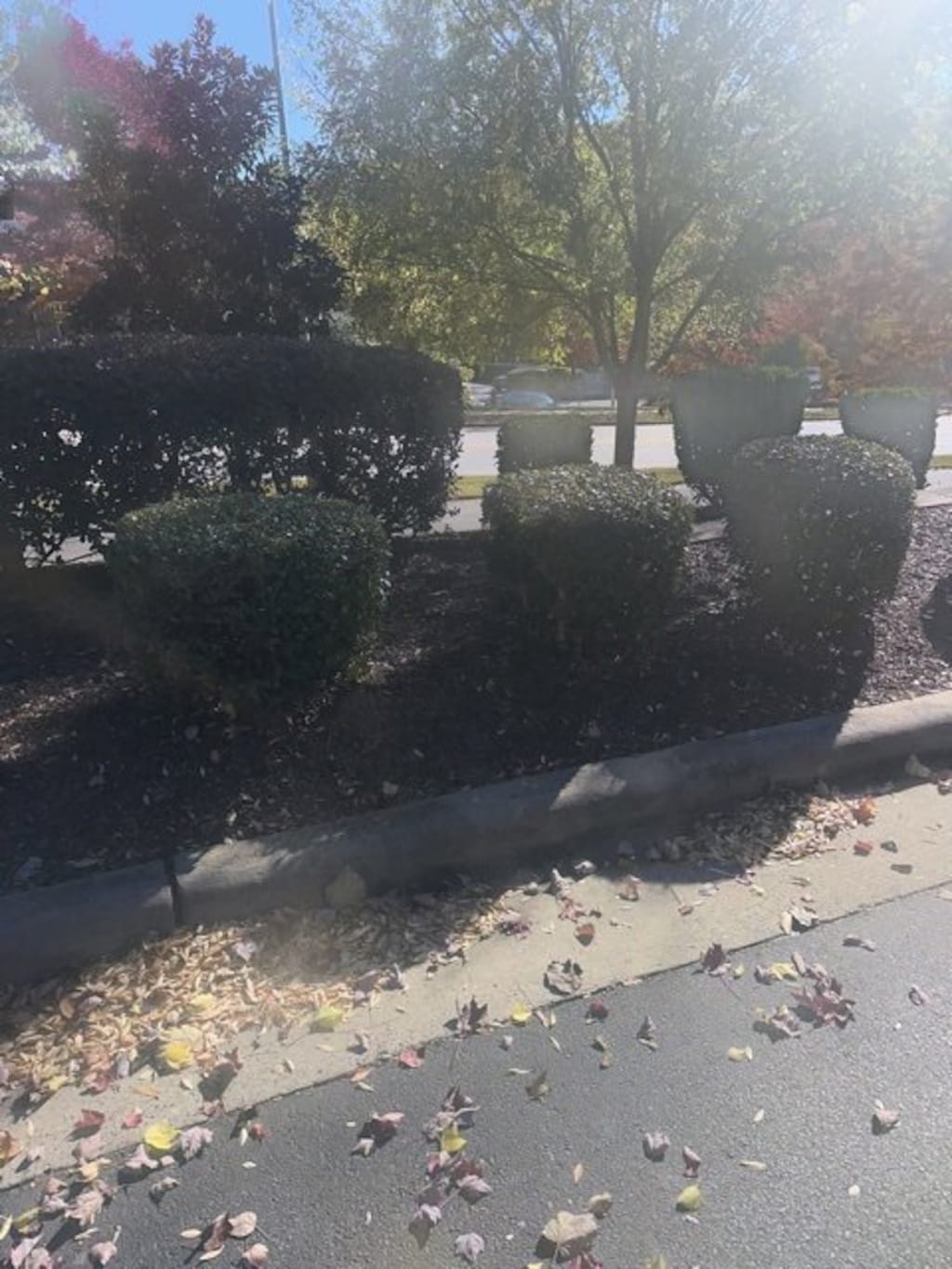 Used 2023 Mazda CX-50 2.5 Turbo Premium Plus Package SUV