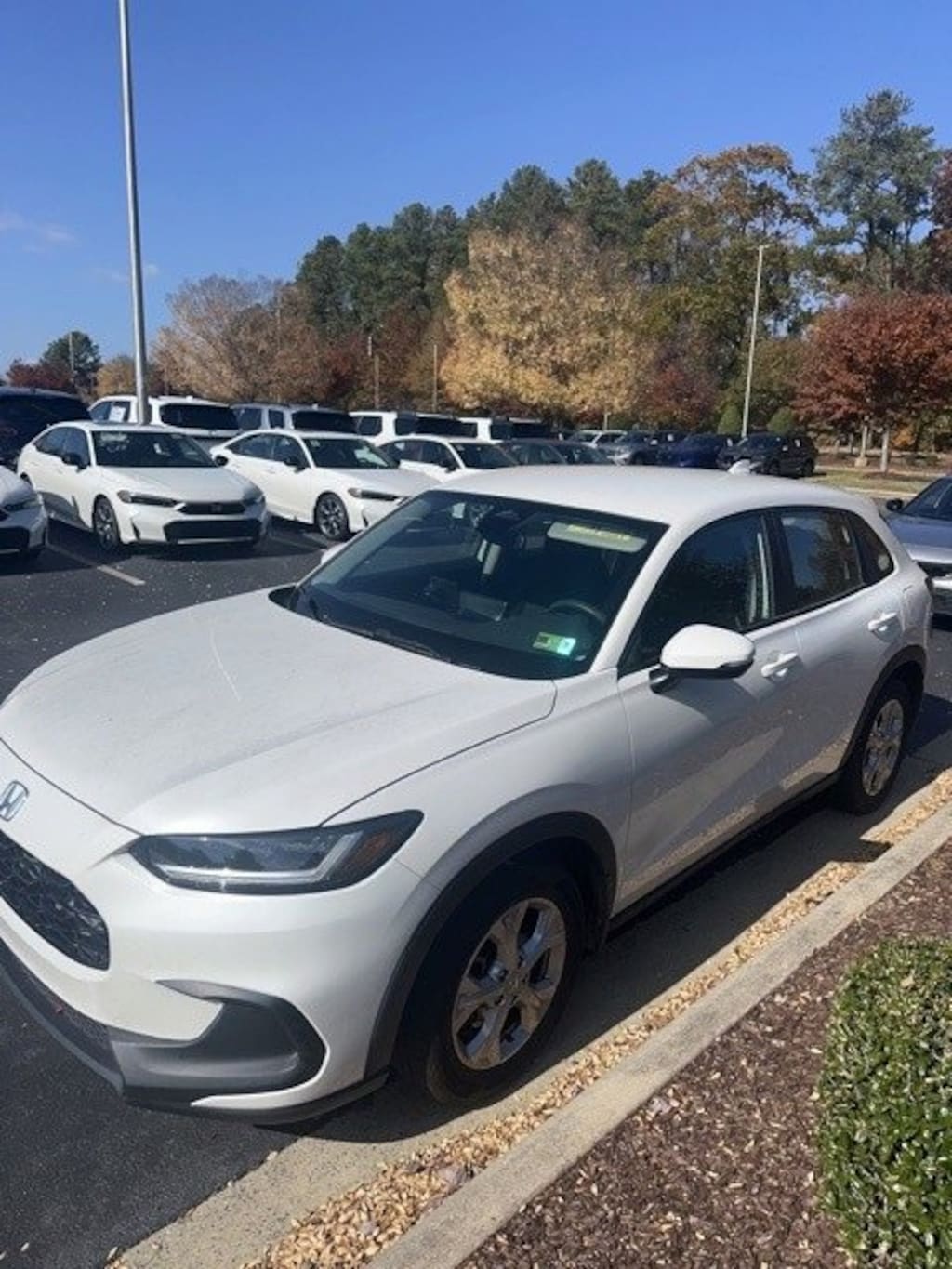 Used 2025 Honda HR-V LX SUV