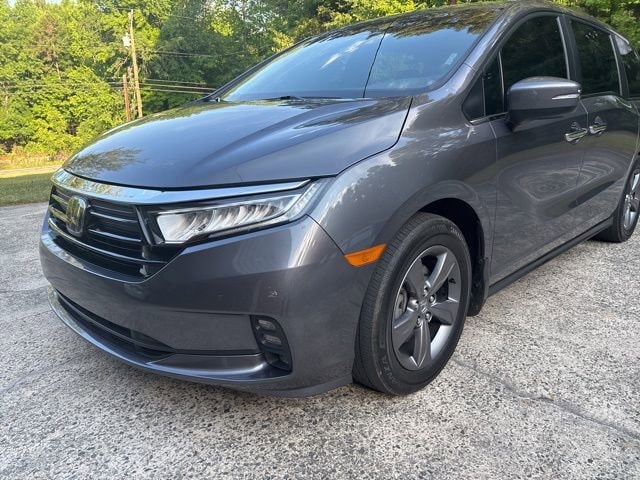 2024 Honda Odyssey EX's photo