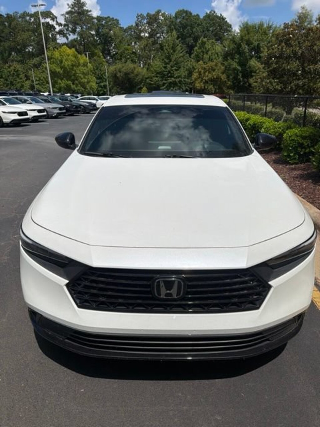 Used 2024 Honda Accord Hybrid Sport-L Sedan