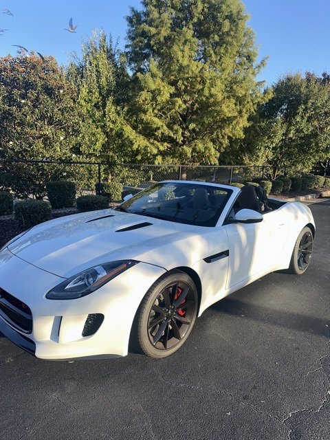 2014 Jaguar F-TYPE S photo 3