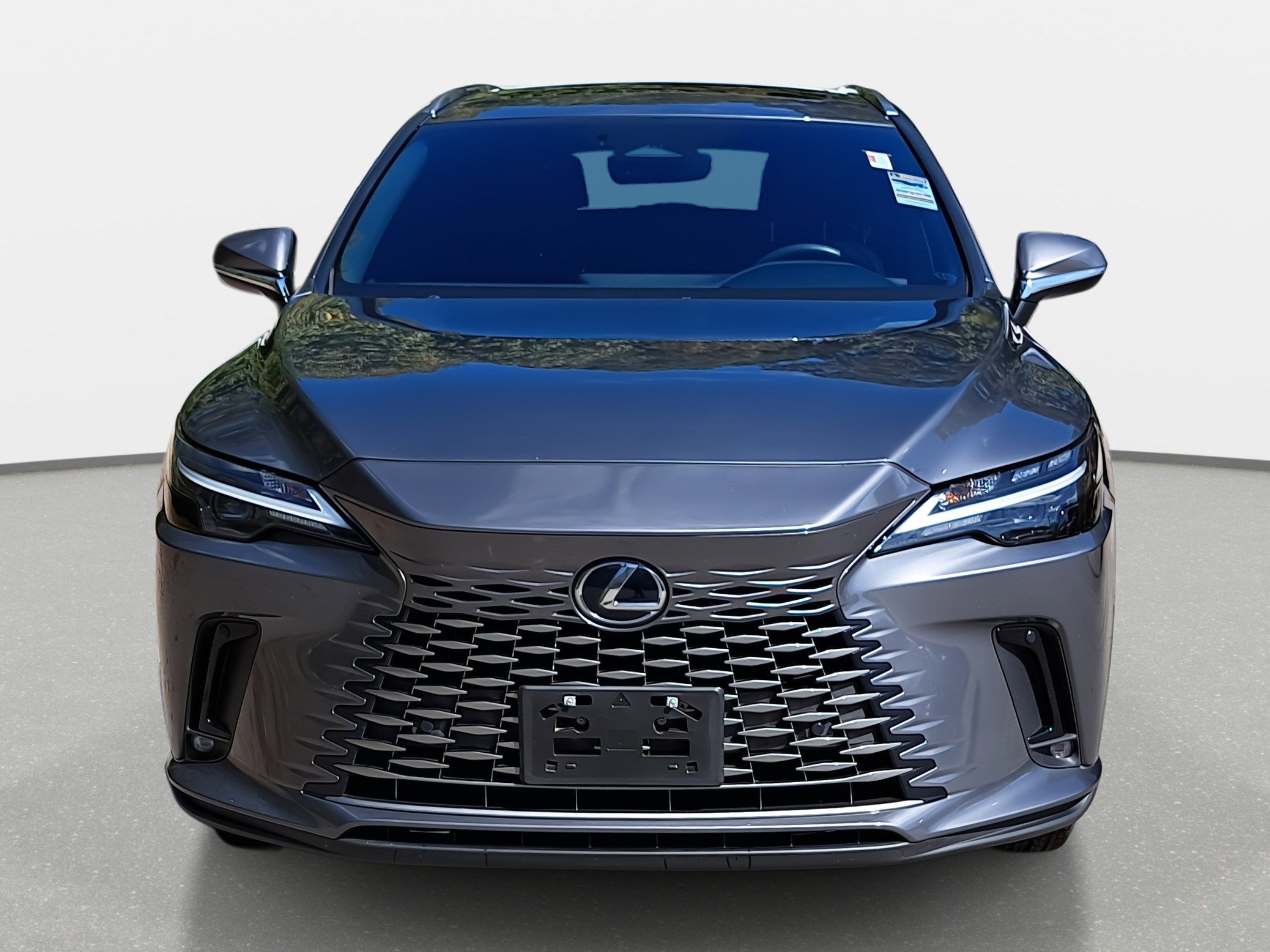 2023 Lexus RX 350 Premium photo 2