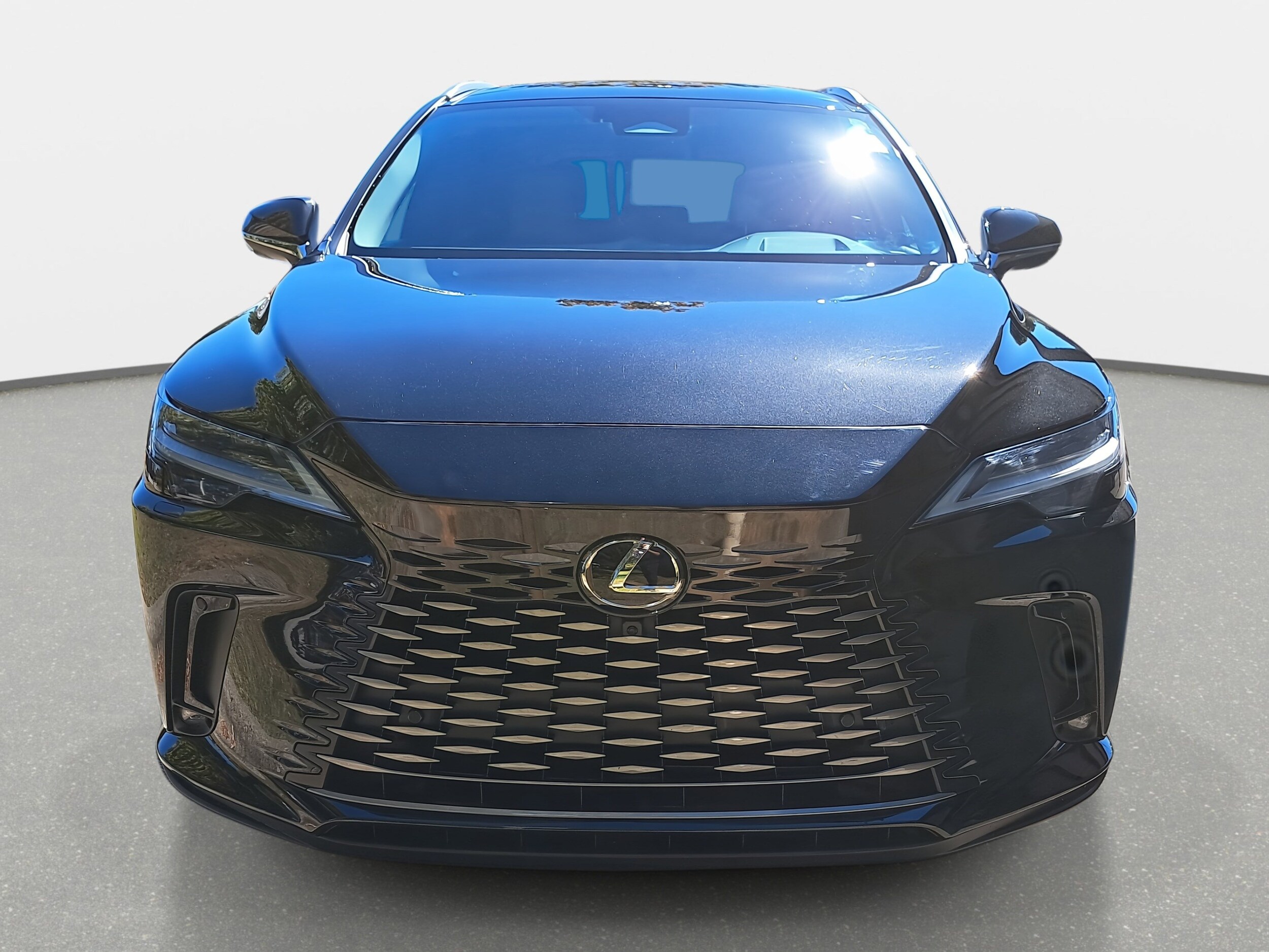 2023 Lexus RX 350 Luxury photo 2