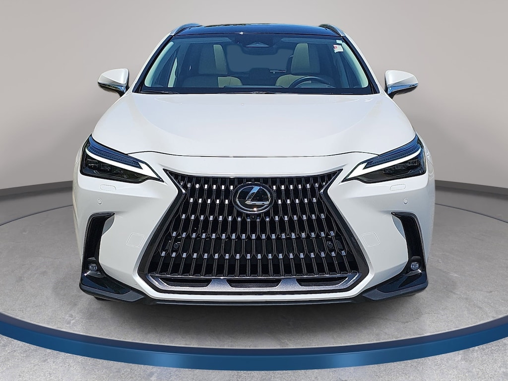 Used 2025 Lexus NX 350h Luxury SUV