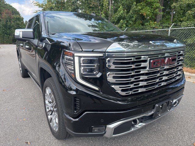 2023 Gmc Sierra 1500 Denali photo 2