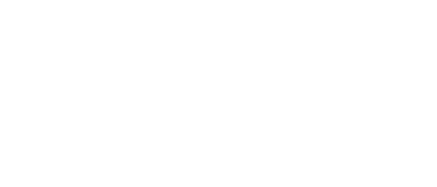 BMW Genius