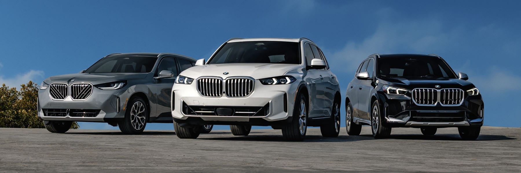 BMW of Raleigh Exchange Program