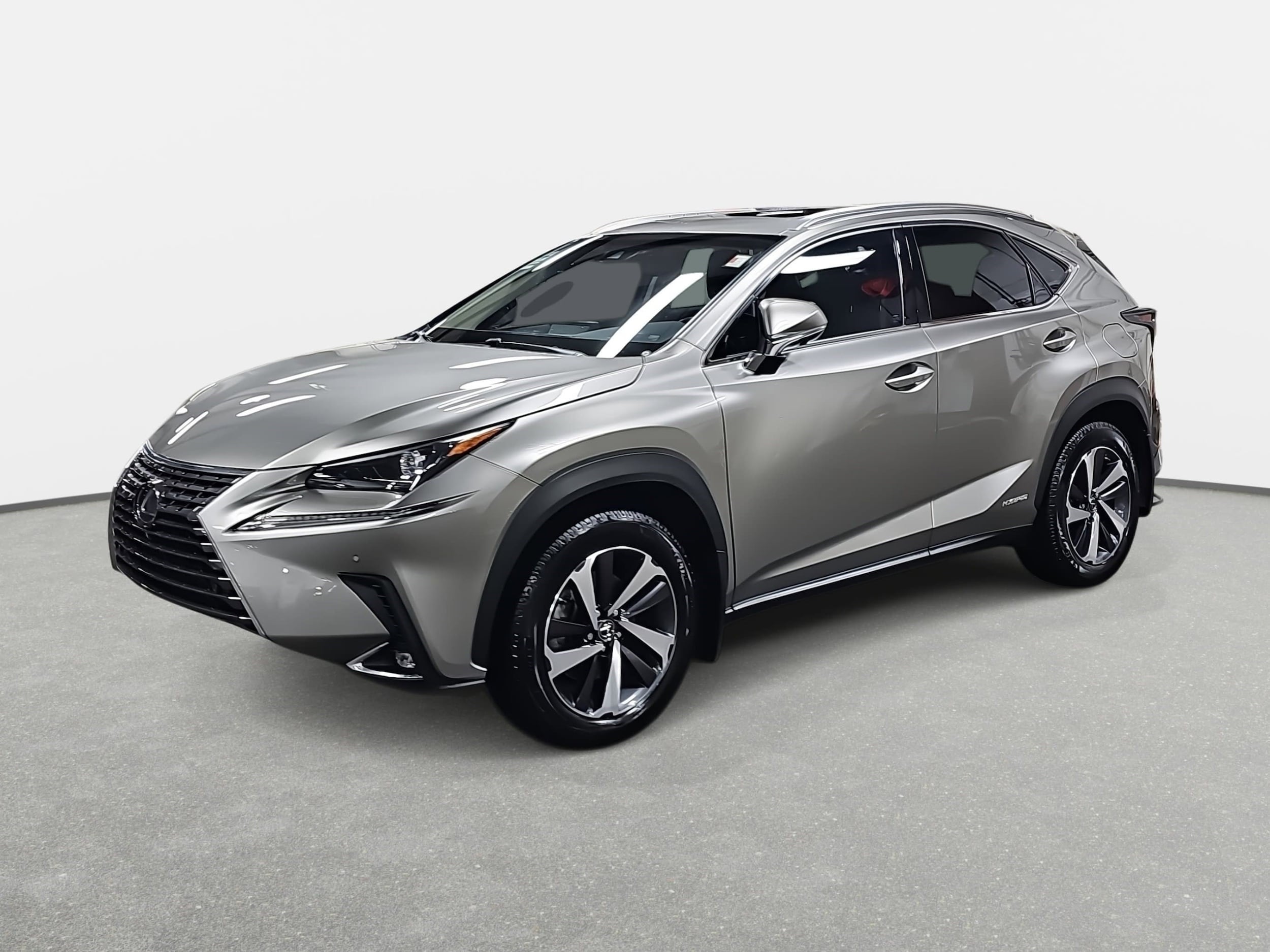 2019 Lexus NX Hybrid 300h's photo