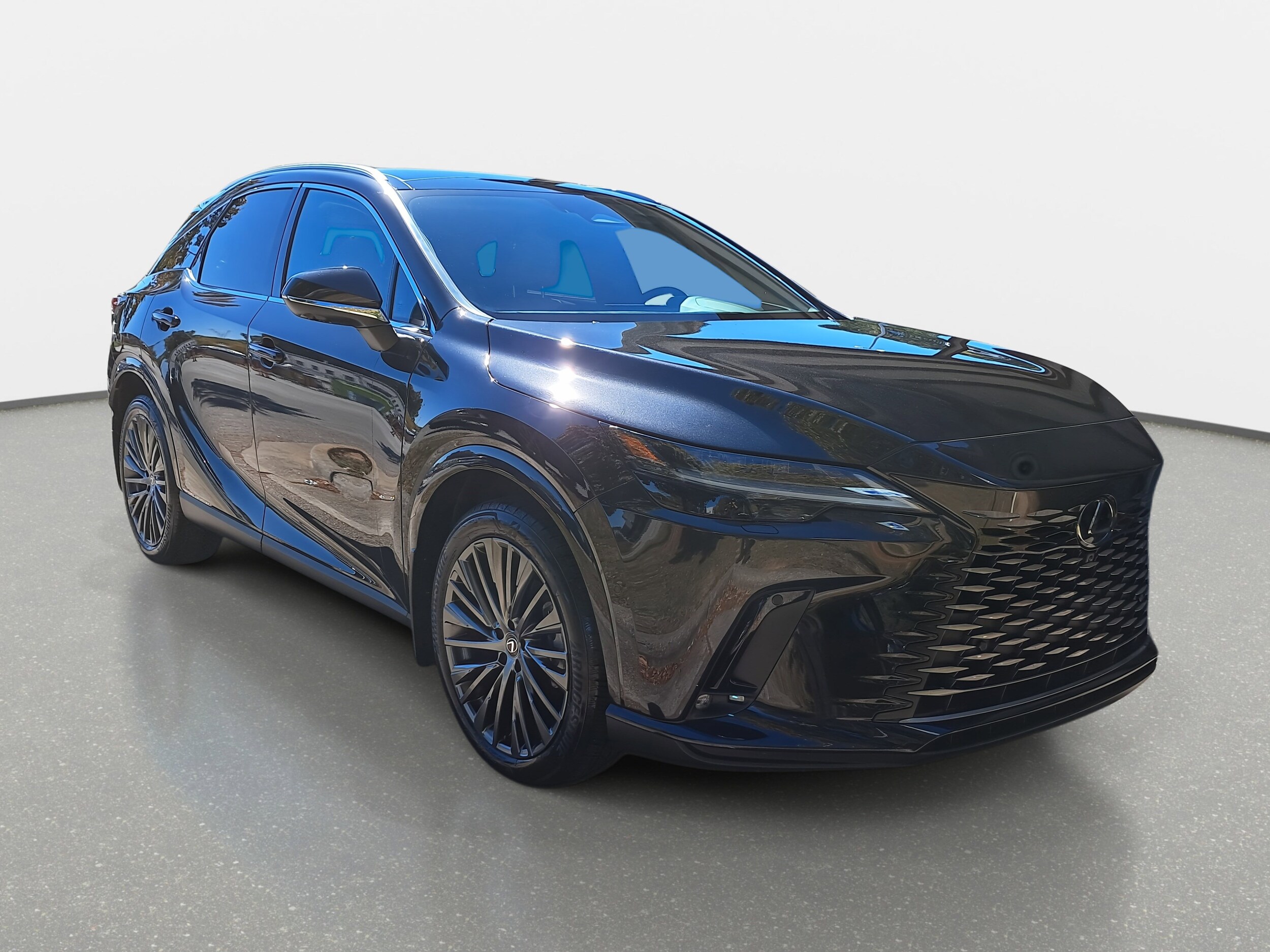 2023 Lexus RX 350 Luxury photo 3