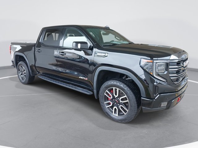 2022 Gmc Sierra 1500 AT4 photo 3