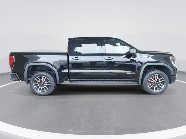 2022 Gmc Sierra 1500 AT4 photo 4