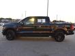 2024 Ford F-150 XLT Truck SuperCrew Cab