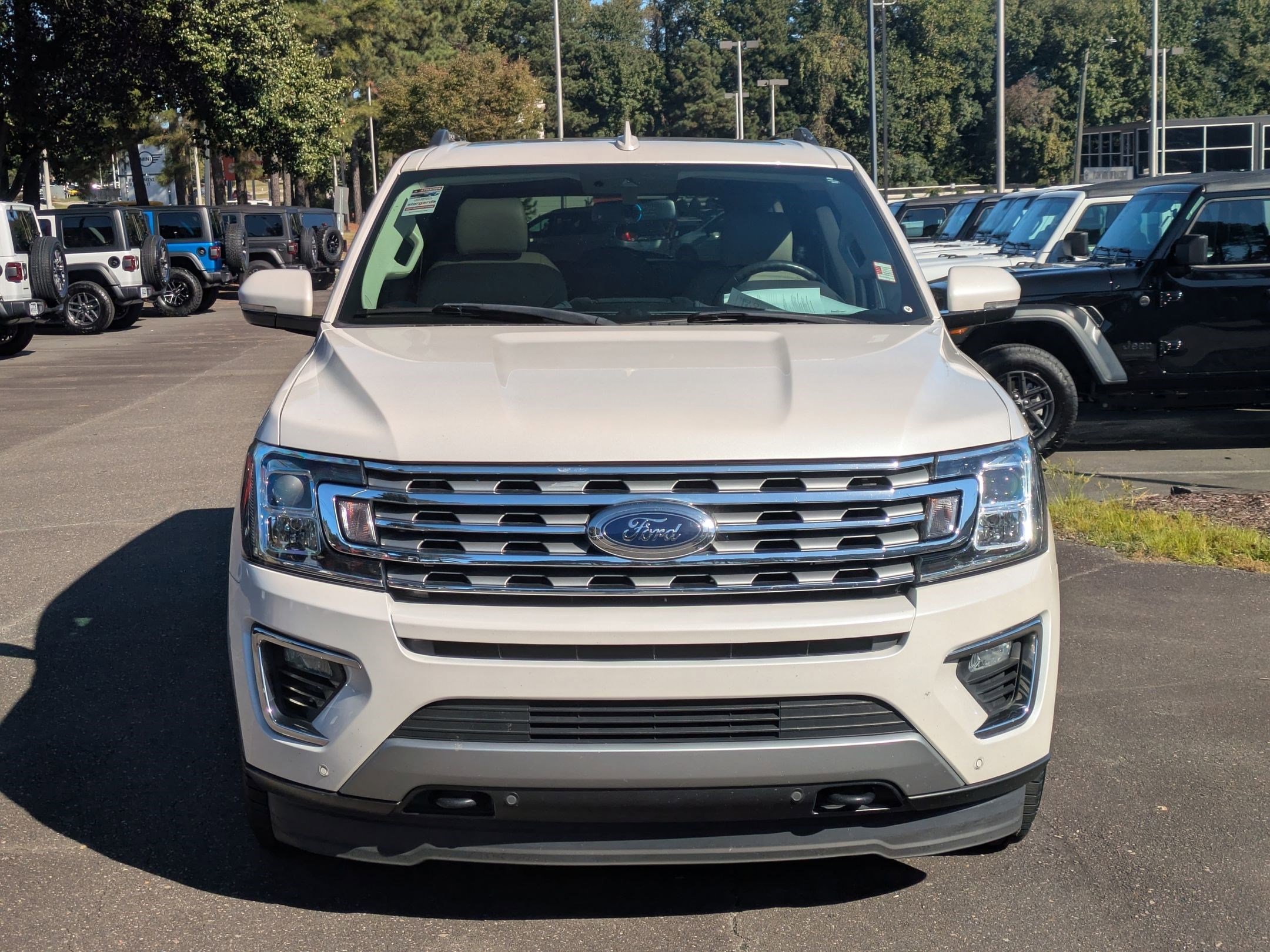 2019 Ford Expedition Limited photo 2