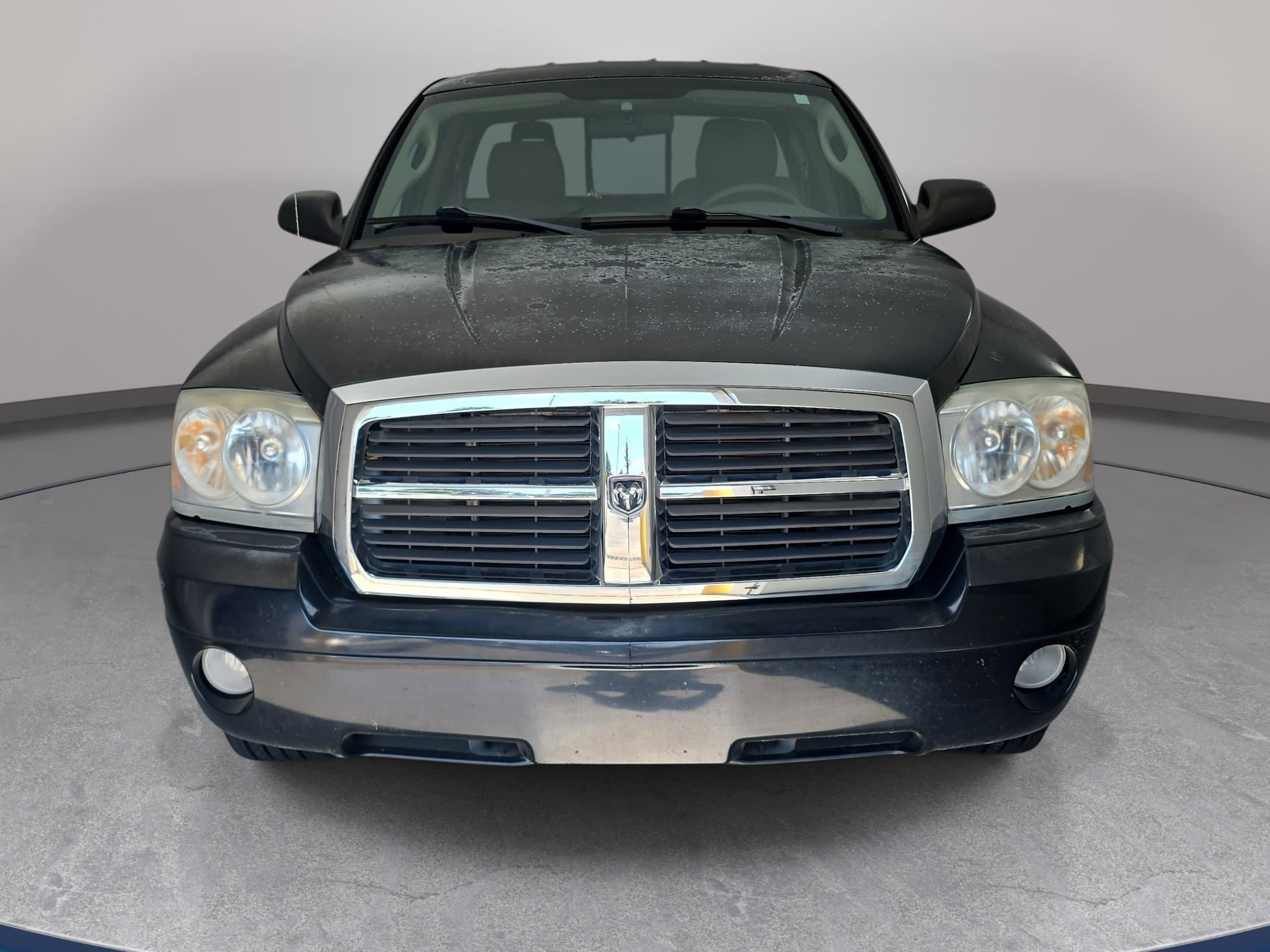 Used 2005 Dodge Dakota SLT with VIN 1D7HE42N25S287475 for sale in Cary, NC