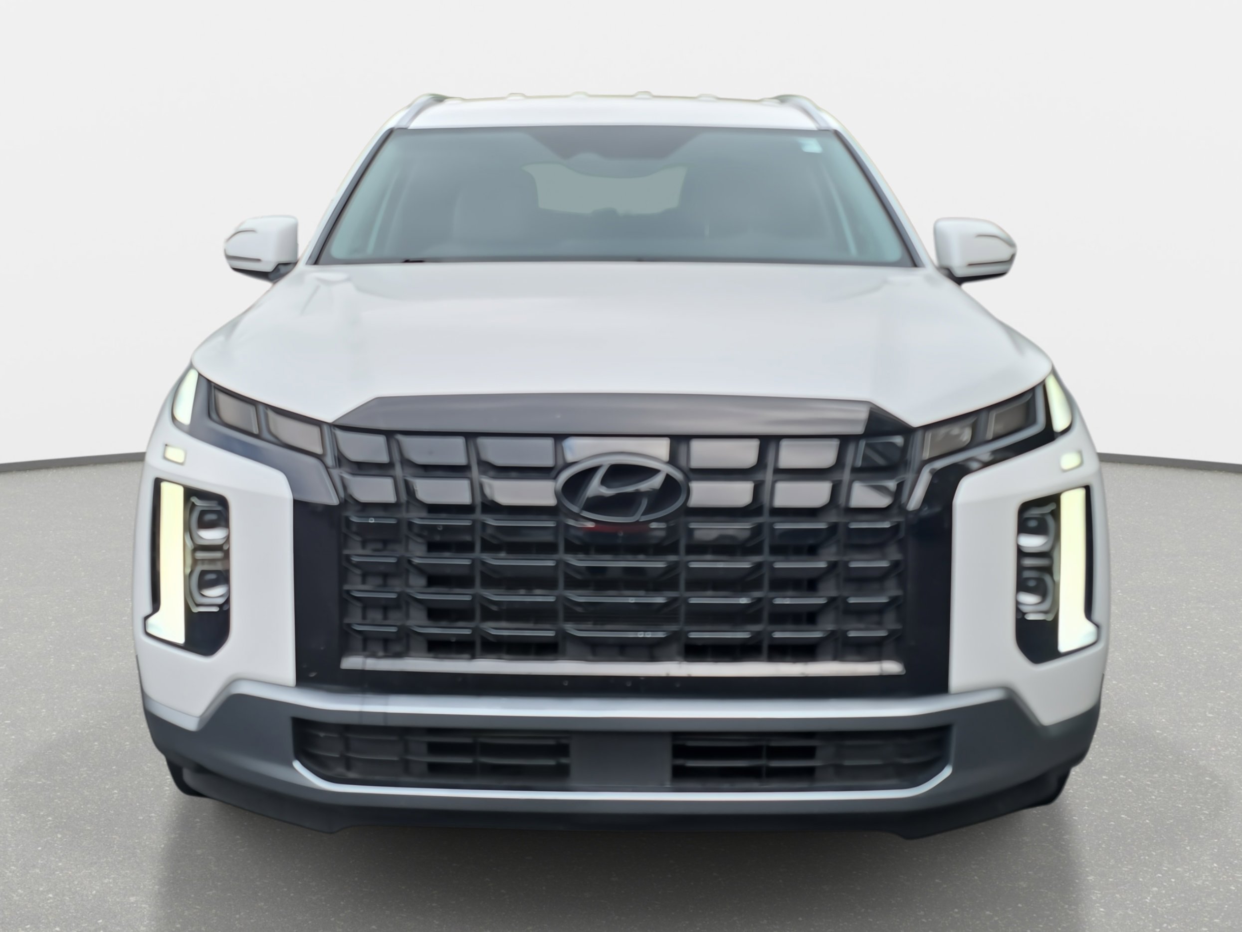 2024 Hyundai Palisade SEL photo 2