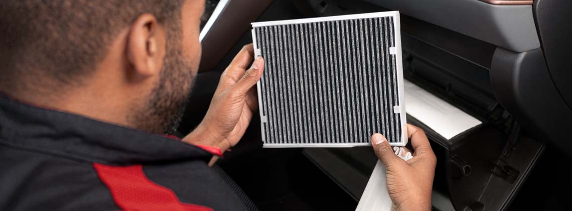 Cabin Filter & Engine Filter