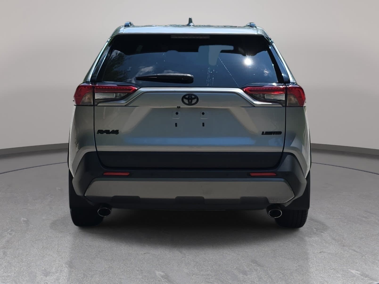 2019 Toyota RAV4 Limited - Photo 6
