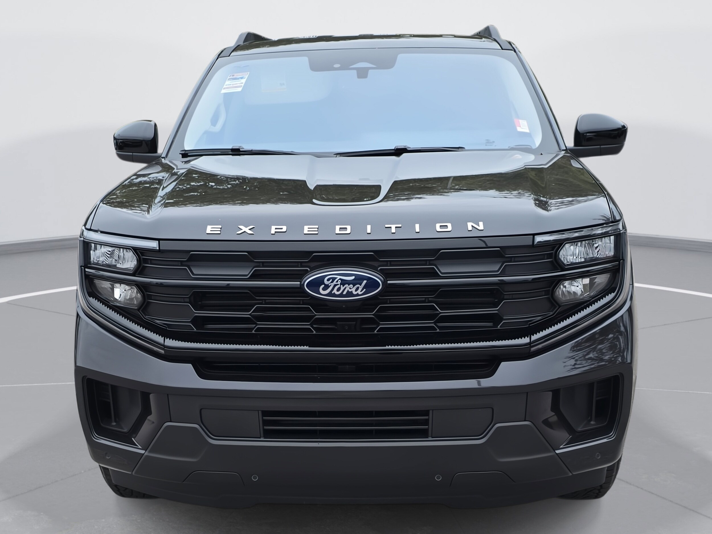2025 Ford Expedition photo 2