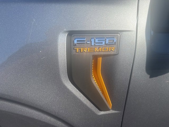 2025 Ford F-150 Tremor photo 3