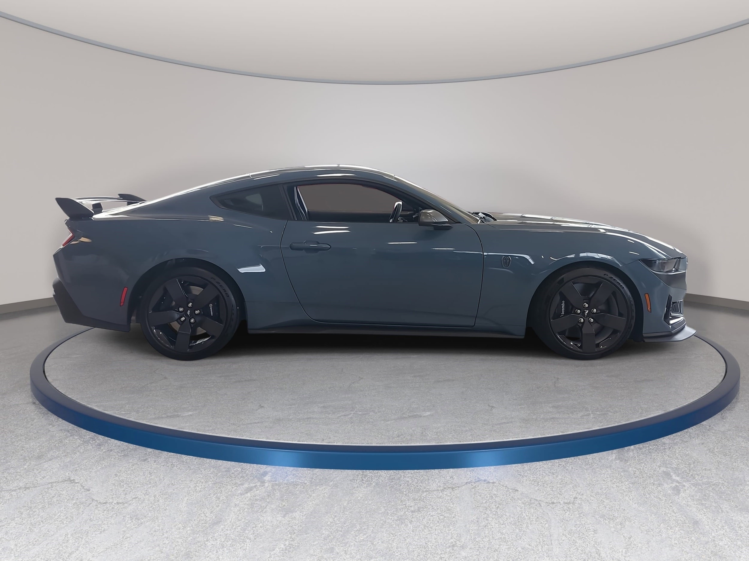 2025 Ford Mustang Dark Horse - Photo 4