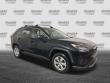 2019 Toyota RAV4 LE SUV