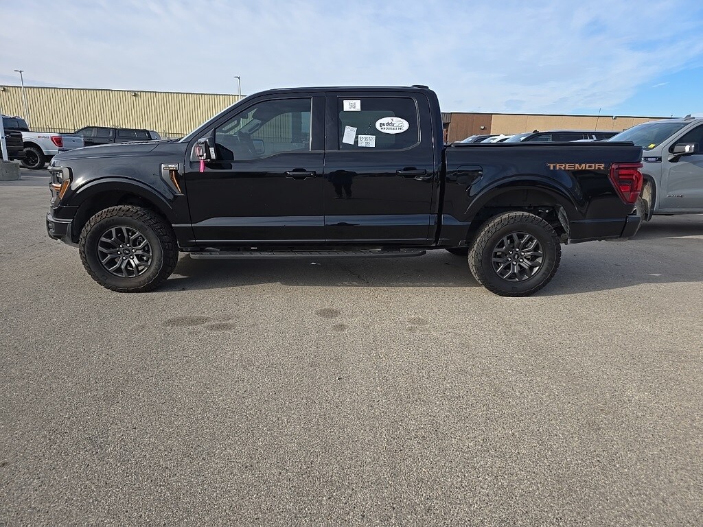2025 Ford F-150 Tremor photo 3