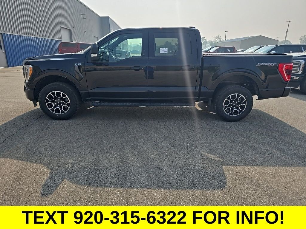 Used 2023 Ford F-150 4x4 SuperCrew XLT Truck